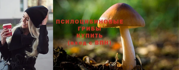 кокс Баксан